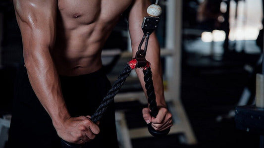 BCAAs - The Ultimate Workout Fuel for Muscle Growth & Recovery