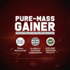 Purobien Nutrition Pure Mass Gainer – 17g Protein | Zero Added Sugar | With Multivitamin, Multimineral & Digestive Enzymes