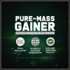 Purobien Nutrition Pure Mass Gainer – 17g Protein | Zero Added Sugar | With Multivitamin, Multimineral & Digestive Enzymes